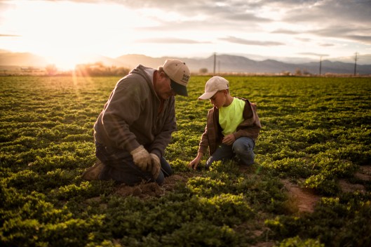 farming-neola-utah-1116951-print