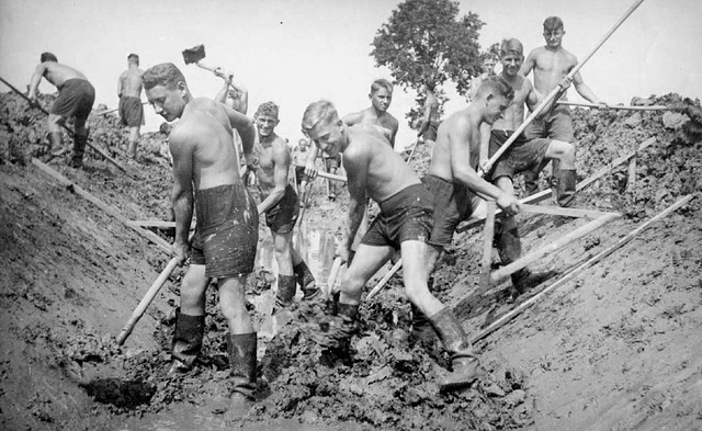 12671915-c25a33dd-640